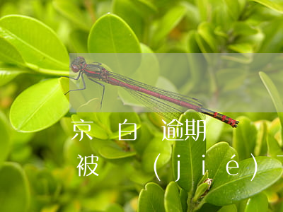 京東白條逾期賬戶凍結(jié)(京東白條被凍結(jié)了)