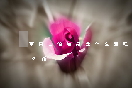 京東白條逾期走什么流程(京東白條 逾期了怎么辦)