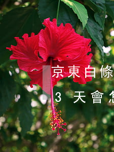 京東白條逾期超30天會怎樣 京東白條逾期3天會怎樣
