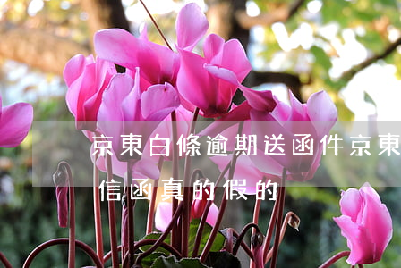 京東白條逾期送函件 京東白條逾期了說要寄信函真的假的