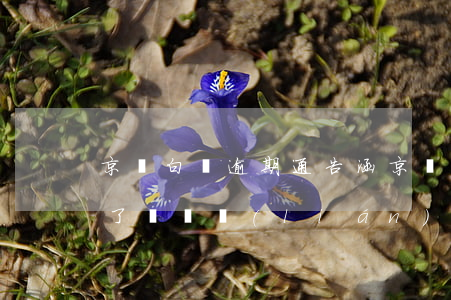 京東白條逾期通告涵(京東白條逾期通告涵留了兩個聯(lián)系人)