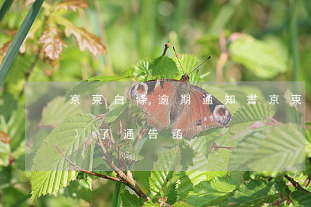 京東白條逾期通知書(京東白條逾期發(fā)了通告函)