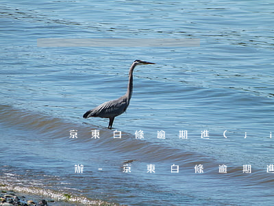 京東白條逾期進(jìn)入司法程序怎么辦-京東白條逾期進(jìn)入司法程序怎么辦理