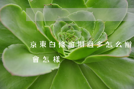 京東白條逾期過多怎么辦-京東白條逾期了會怎樣?