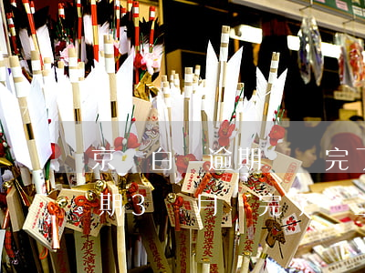 京東白條逾期過還完了上征信嗎(京東白條逾期3個月還完了會上征信嗎)