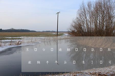 京東白條逾期過還款還能再用嗎-京東白條逾期半年后還清了,還可以使用嗎