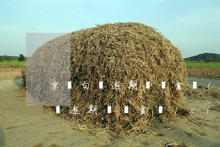 京東白條逾期違約金協(xié)商(京東白條逾期違約金協(xié)商)