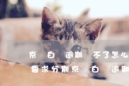 京東白條逾期還不了怎么辦怎么樣可以重新要求分期（京東白條逾期還不了）