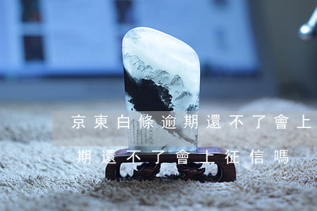京東白條逾期還不了會上征信嗎(京東白條逾期還不了會上征信嗎)