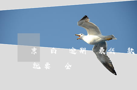 京東白條逾期還最低還款額度 京東白條逾期就要還全額嗎