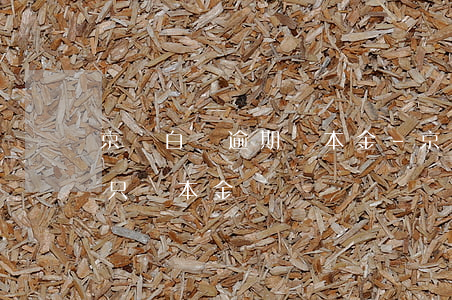 京東白條逾期還本金-京東白條逾期能不能只還本金