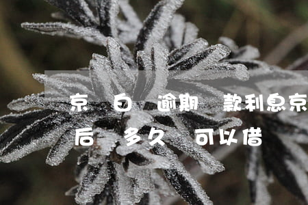 京東白條逾期還款利息(京東白條逾期還了之后還多久還可以借錢)