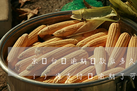 京東白條逾期還款后多久可以再次開(kāi)通（支付寶逾期了可以開(kāi)京東白條嗎）