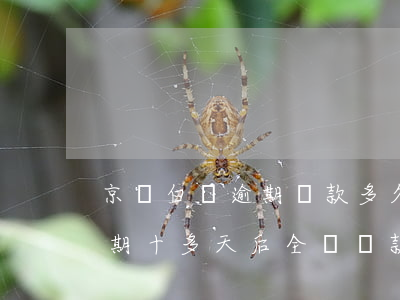京東白條逾期還款多久影響征信(京東白條逾期十多天后全額還款會對征信有影響嘛)