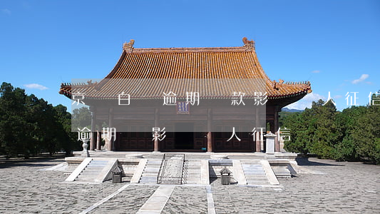 京東白條逾期還款影響個人征信嗎(京東白條逾期會影響個人征信嗎)