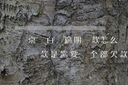 京東白條逾期還款怎么處理(京東白條逾期后還款是需要還全部欠款嗎)