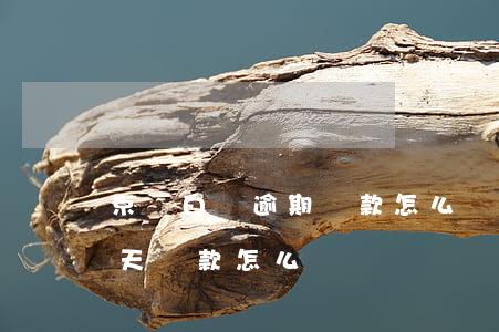 京東白條逾期還款怎么還款（京東白條逾期一天還款怎么辦）