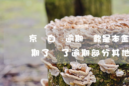 京東白條逾期還款是本金的1倍(京東白條逾期了還了逾期部分其他的要一次還清嗎)