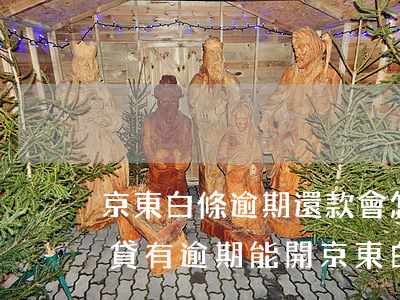 京東白條逾期還款會怎么樣（網(wǎng)貸有逾期能開京東白條嗎）