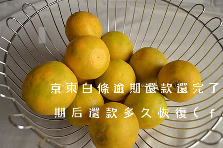 京東白條逾期還款還完了怎么辦(京東白條逾期后還款多久恢復(fù))