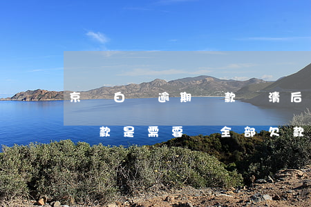 京東白條逾期還款還清后果(京東白條逾期后還款是需要還全部欠款嗎)
