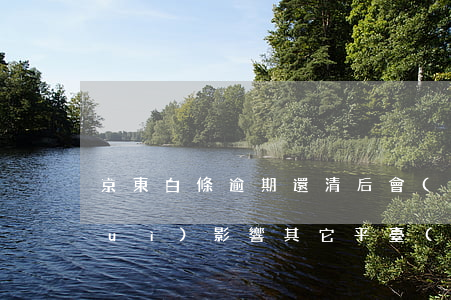 京東白條逾期還清后會(huì)不會(huì)影響其它平臺(tái)貸款（京東白條逾期還清）