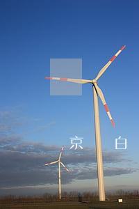 京東白條逾期還清逾期(京東白條逾期了怎么還)
