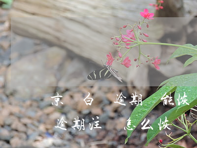 京東白條逾期還能恢復(fù)嗎（京東白條逾期注銷怎么恢復(fù)）