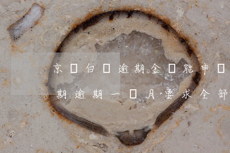 京東白條逾期金額能申請分期嗎(京東白條分期逾期一個月要求全部還清)