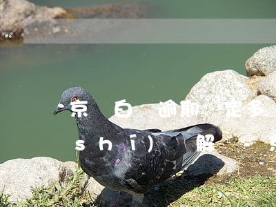 京東白條逾期鎖定多長(zhǎng)時(shí)間解鎖-京東白條被鎖了多久可以解鎖
