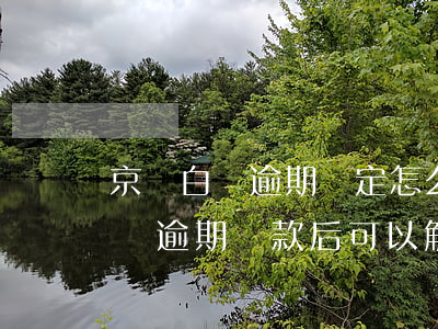 京東白條逾期鎖定怎么恢復(fù)(京東白條逾期還款后可以解除額度鎖定嘛)