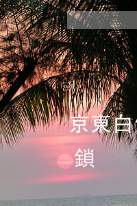 京東白條逾期鎖定還完之后(京東白條逾期解鎖)