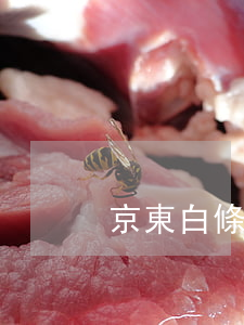 京東白條逾期降額度（京東白條逾期白條額度）