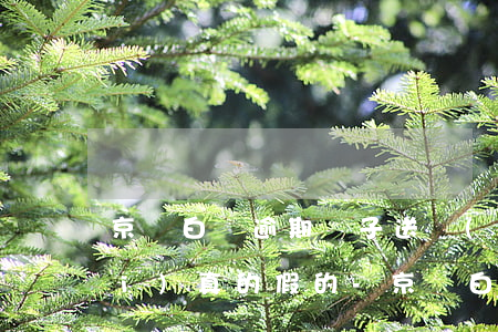 京東白條逾期電子送達(dá)平臺(tái)真的假的-京東白條逾期電子送達(dá)平臺(tái)真的假的怎么辦