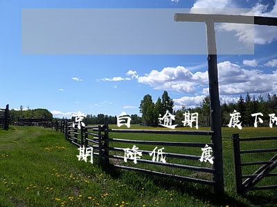 京東白條逾期額度下降怎么提高(京東白條逾期會降低額度嗎?)