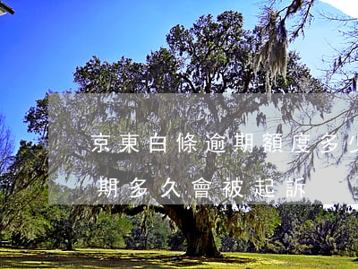 京東白條逾期額度多少會被起訴(京東白條逾期多久會被起訴?)