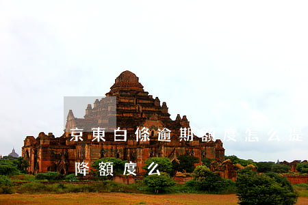 京東白條逾期額度怎么提回來(京東白條逾期降額度么)