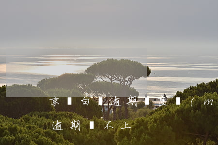 京東白條逾期額度沒(méi)了(京東白條逾期還不上)