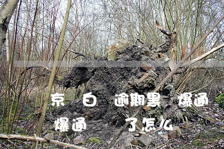 京東白條逾期黑戶爆通訊錄嗎(京東白條逾期爆通訊錄了怎么辦)