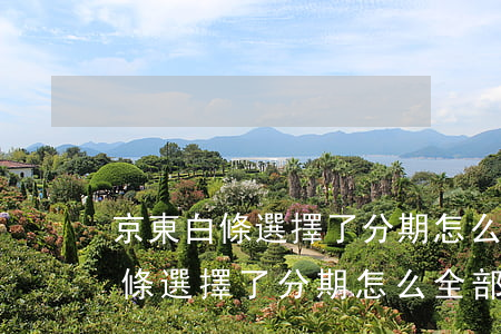 京東白條選擇了分期怎么全部還款-京東白條選擇了分期怎么全部還款呢