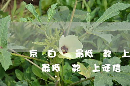 京東白條還最低還款會上征信嗎-京東白條還最低還款會上征信嗎知乎
