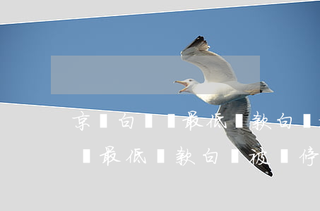 京東白條還最低還款白條被暫停-京東白條還最低還款白條被暫停怎么辦