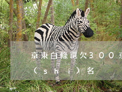 京東白條還欠300(京東白條還欠款取消實(shí)名)