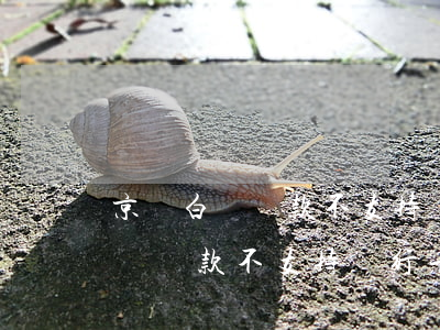 京東白條還款不支持銀行卡怎么辦-京東白條還款不支持銀行卡怎么辦呢