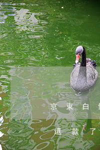 京東白條還款了退款是退到哪呢-京東白條還款了退款是退到哪呢怎么查
