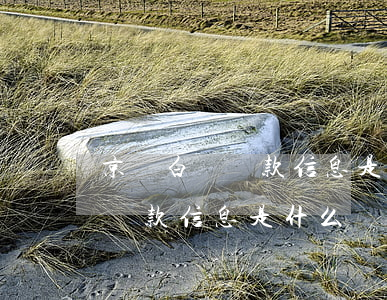 京東白條還款信息是什么樣子的-京東白條還款信息是什么樣子的啊