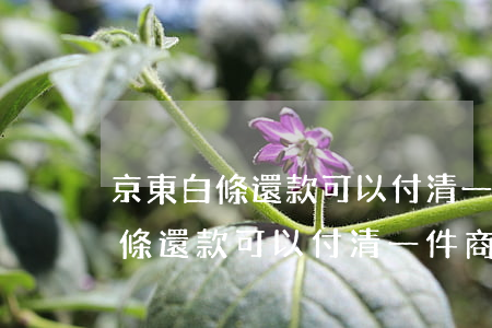 京東白條還款可以付清一件商品嗎-京東白條還款可以付清一件商品嗎安全嗎