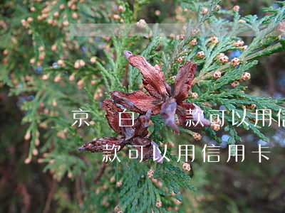 京東白條還款可以用信用卡還嗎-京東白條還款可以用信用卡還嗎安全嗎