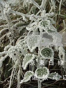 京東白條還款可以用借記卡還嗎-京東白條還款可以用借記卡還嗎安全嗎
