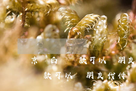 京東白條還款可以讓朋友代付嗎-京東白條還款可以讓朋友代付嗎安全嗎